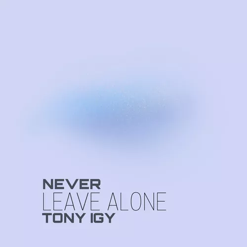 Музыка Tony Igy - Never Leave Alone