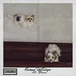 Музыка Костик ИзХабарэ - По-волчьи