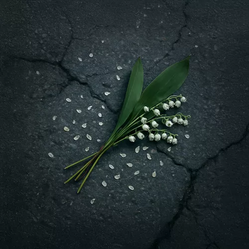 Музыка Nansi - Привет (feat. Sidorov)