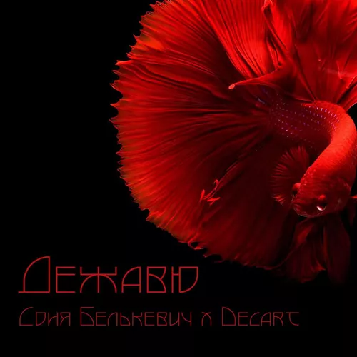 Музыка Соня Белькевич - Дежавю (feat. Decart)