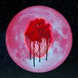 Музыка Chris Brown - All The Time